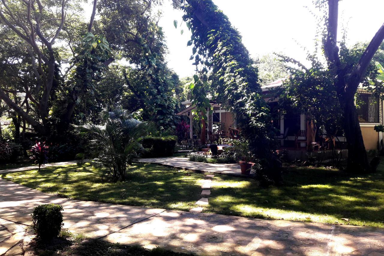 Xalli Beach Hotel Altagracia Zewnętrze zdjęcie